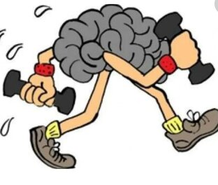 Гимнастика мозга