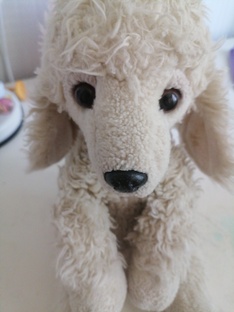 Моя собака Авава 