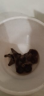 Самодельные обои из яичных лотков