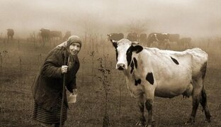 Евдокия - краса 1