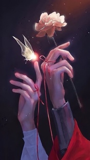 Новеллы и всё, что связанно с BL