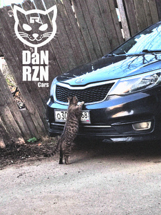 Веселые истории 