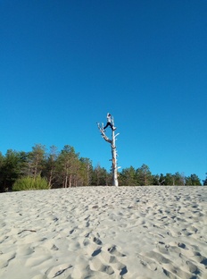 Развлечения 