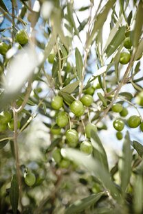 Обзираю книги