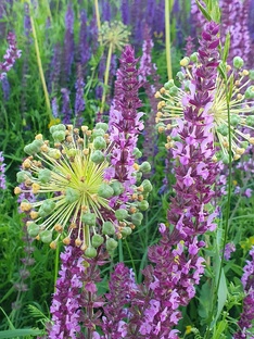 Вдохновение от природы