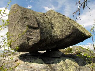 Сейд 8. Портрет солнечной девушки