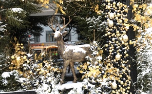 Сказки и сказочки