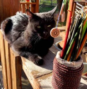 Очерки молодой ведьмы