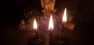 ЧИСТКИ ОТ ПОРЧИ