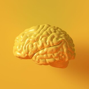 ПСИХОЛОГИЯ И РЕСУРСЫ 