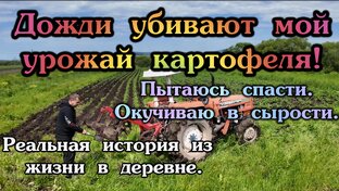 Реальные истории из жизни в деревне.