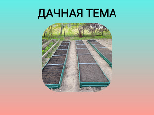 Дачная тема