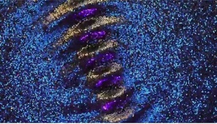 Частоты Сольфеджио