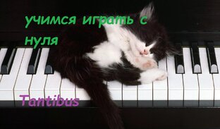 Учимся играть