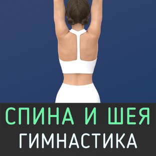 Гимнастика для спины