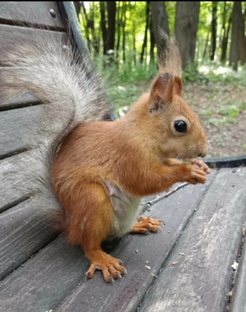 Интересные и редкие ролики