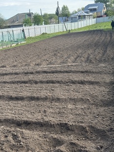 Огородные дела