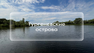 Тургеневские острова, Ульяновская область