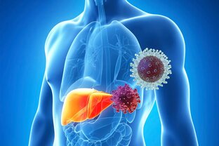 Вирусные гепатиты 