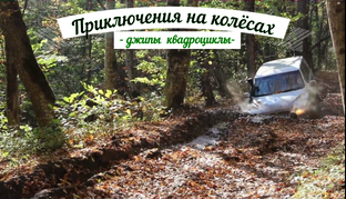 Клипы Интересные