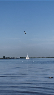 О жизни и не только за пределами рутины