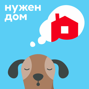Нужен дом!