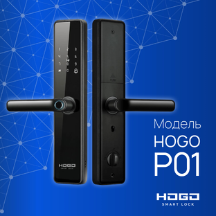HOGO P01