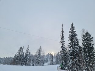 Среда обитания