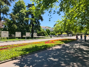 🍀ПАРКИ И СКВЕРЫ СЕВАСТОПОЛЯ 