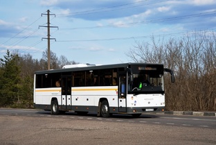 Автобусные поездки. 