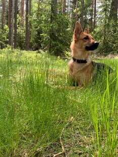 -Домашняя коллекция-