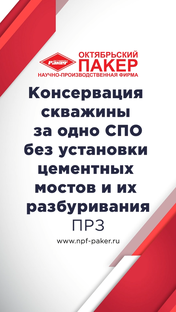 Пакер разбуриваемый для консервации скважин - ПРЗ