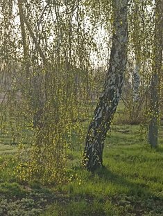 ПО РОДНОЙ СТРАНЕ