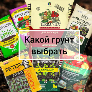 Грунт 