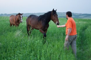 Жизнь на природе