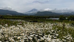 Стихи из старых тетрадей…и не только 