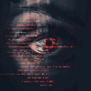 DataTraders-поиск