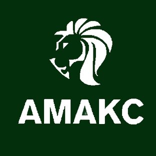 Производство тротуарной плитки и блоков