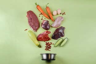 Основые правильного питания собак и кошек