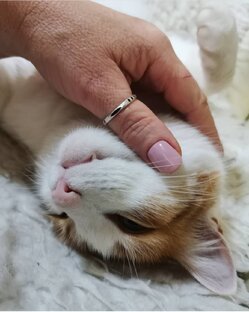 Жизнь, как есть