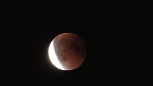 Луна - спутник Земли.