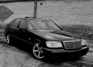 кабанчик W140