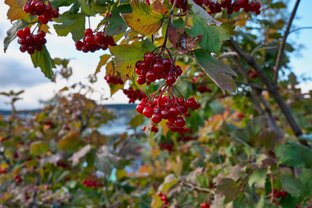Стокгольмский синдром. Это было со мной.