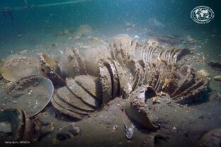 Новости науки