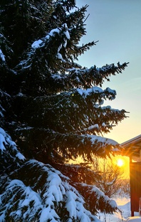 Жизнь в Тверской губернии