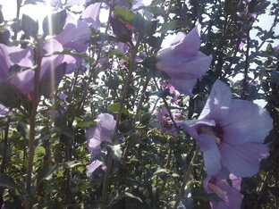 Переезд в Краснодар