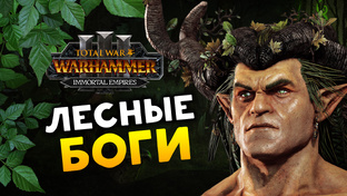 Лесные Эльфы - прохождение Total War Warhammer 3 за Ориона