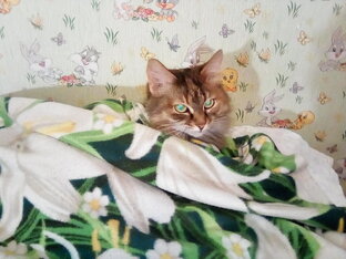 А жить хорошо!