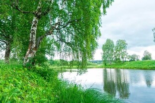 Родная природа.