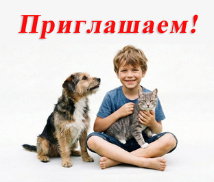 Наш телеграм канал